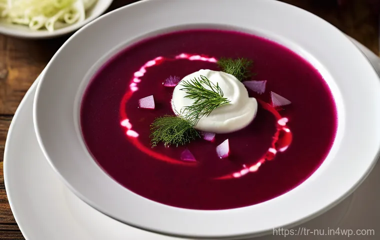 러시아식 보르시트 만드는 법 - **Prompt 1: "A visually rich, top-down shot of a steaming bowl of traditional Borsch soup. The soup ...